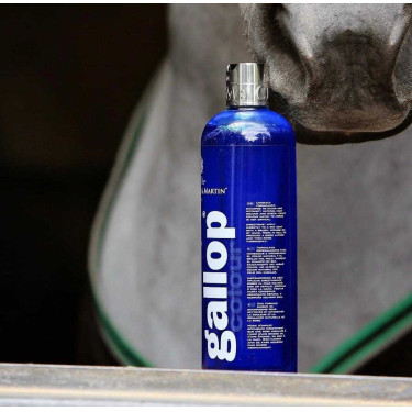 Gallop® Shampoo Carr & Day & Martin Grijs