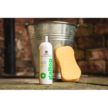 Shampoing antibactérien Gallop® Carr & Day & Martin