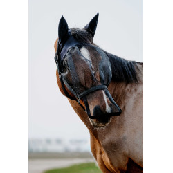 Halster + UV-beschermend masker Equithème Zwart Halster + UV-beschermend masker Equithème Zwart