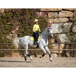 Sous-vêtement technique My LeMieux Citron Jaune