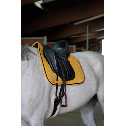 Zadeldek Equithème Glossy