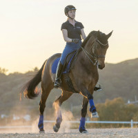 Tapis LeMieux dressage square - luxury Bleu benetton