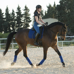 Tapis LeMieux Luxury Dressage Square Bleu benetton Tapis LeMieux Luxury Dressage Square Bleu benetton