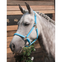 Halster Biotack® T de T Lichtblauw