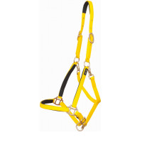 Licol Biotack® T de T Jaune