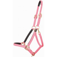 Licol Biotack® T de T Rose