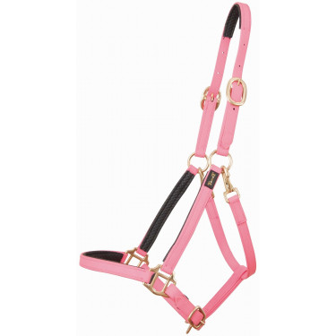 Licol Biotack® T de T Licol Biotack® T de T