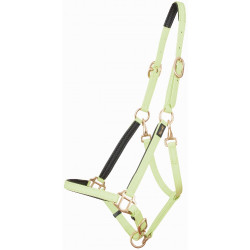 Licol Biotack® T de T