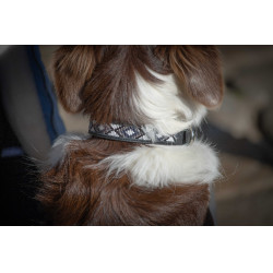 Halsband voor hond Pénélope Pearl