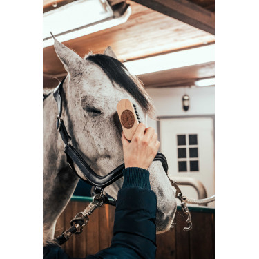 Brosse de tête Borstiq