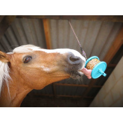 Pierre à lécher Likit