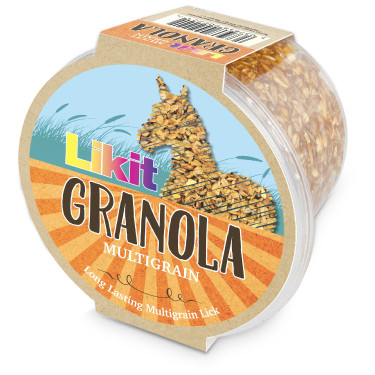 Pierre à lécher Likit