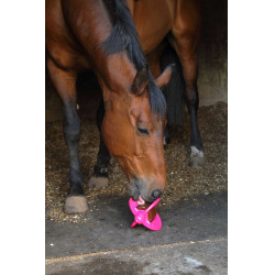 Jouet Bizzy Ball Likit Fuchsia Rose