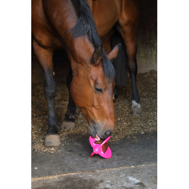 Jouet Bizzy Ball Likit Fuchsia Rose