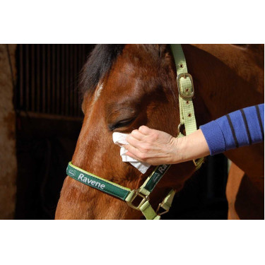 Easy Shine Wipe Ravene Reinigingsdoekjes
