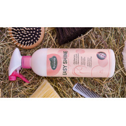 Easy Shine Ravene Eco-Recharge Easy Shine Ravene Eco-Recharge