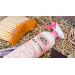 Easy Shine Ravene Eco-Recharge Easy Shine Ravene Eco-Recharge
