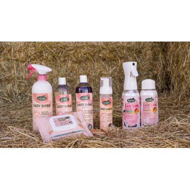 Easy Shine Ravene Eco-Recharge Easy Shine Ravene Eco-Recharge