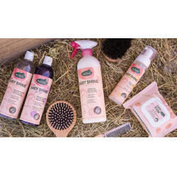 Easy Shine Ravene Eco-Recharge Easy Shine Ravene Eco-Recharge
