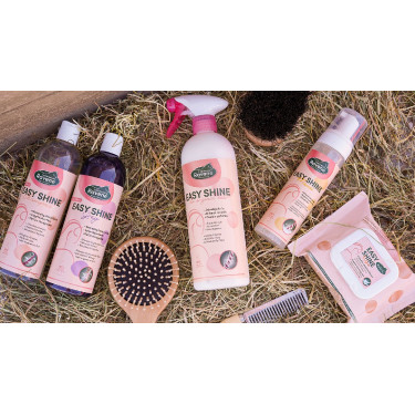 Easy Shine Ravene Eco-Recharge Easy Shine Ravene Eco-Recharge