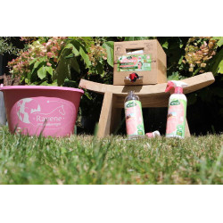 Easy Shine Ravene Eco-Recharge Easy Shine Ravene Eco-Recharge