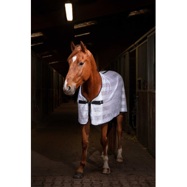 Overhemd Riding World Mesh Wit