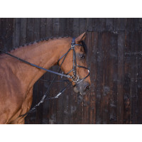 Gogue à poulies Riding World Havane Marron