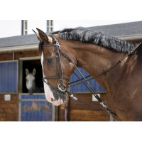 Katrolblok Riding World Havana Bruin