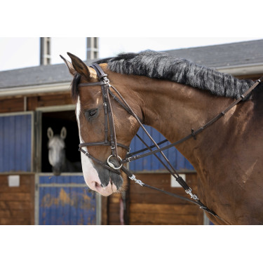 Katrolblok Riding World Havana Bruin