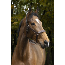 Anatomisch halster Norton Pro