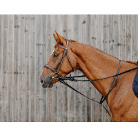 Norton Pro Thiedeman-hulpteugel Zwart