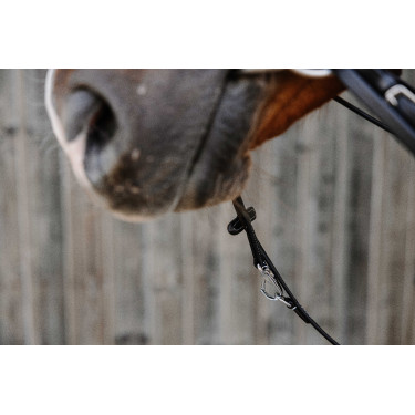 Enrênement Norton Pro Thiedeman Enrênement Norton Pro Thiedeman