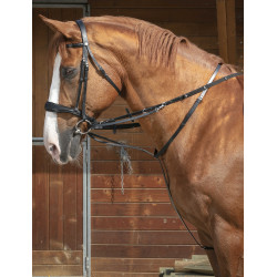 Enrênement Norton Pro Thiedeman Enrênement Norton Pro Thiedeman