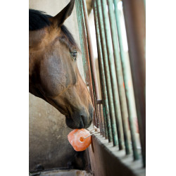 Hippotonic Himalaya zoutsteen