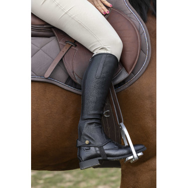 Mini-chaps Norton Stretch Noir