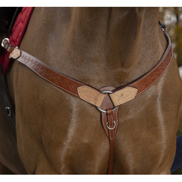 Collier de Chasse Randol'S Two Tone