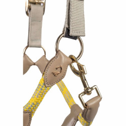 Licol Lauria Garrelli Limone Sportive Licol Lauria Garrelli Limone Sportive