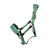 Licol HKM Maui pour shettys Vert