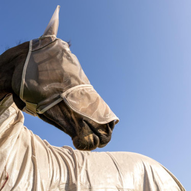 Masque anti-mouches Classic avec oreilles et couvre-nez Kentucky