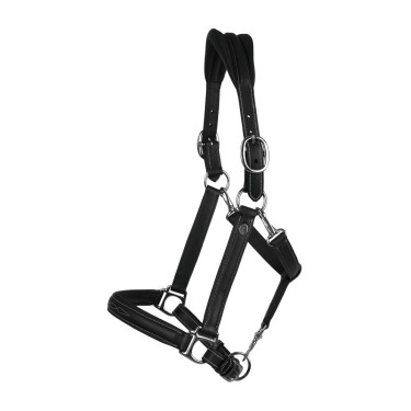 Licol Cuir Extra Souple Working By Dy'on Noir