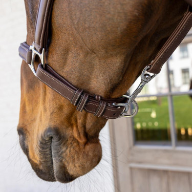 Licol Cuir Extra Souple Working By Dy'on Brun Marron