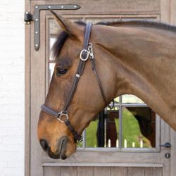 Halster Voor Poetsen Working By Dy'on Bruin