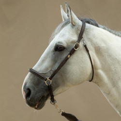 Halster Voor Poetsen Working By Dy'on Bruin