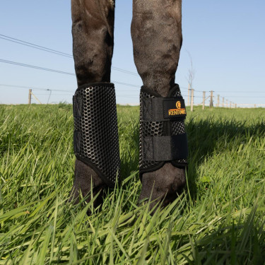 Gesloten ProAir-beschermers Kentucky Zwart Gesloten ProAir-beschermers Kentucky Zwart