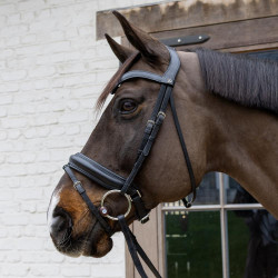 Flex Hard Velari watertrens met ringen