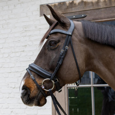 Flex Hard Velari watertrens met ringen