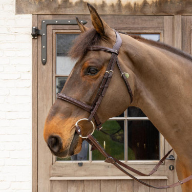 Mors à olive Flex Hard Velari