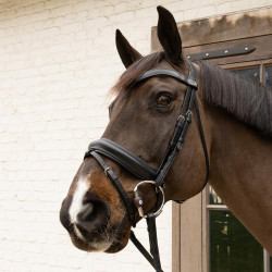 Mors à olive Flex Hard Velari