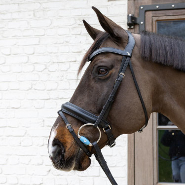 Mors à olive Flex Medium Velari