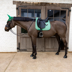 Tapis de Selle Velvet Pied-de-Poule Dressage Kentucky Vert clair / colourful